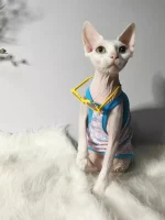 Sanrio Pink Cotton Tank Top for Cats