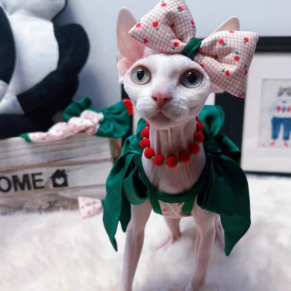 Silk Green Bow Onesie for Cats