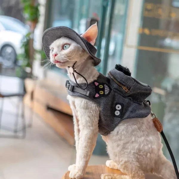 Vintage Denim Cat Harness Leash with Backpack