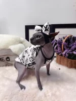 White LV Tank Top for Cats