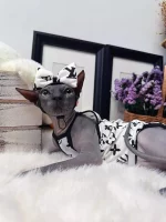White LV Tank Top for Cats