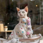 Yeswarmg Adorable Thick & Warm Cat Coat with Fluffy Pom-Poms and Colorful Polka Dots, Perfect for Devon Rex and Hairless Breeds