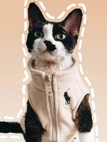 Devon Rex cat in a cream zip-up fleece winter jacket