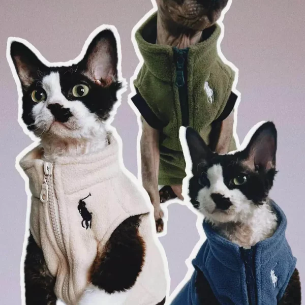 Collage of cats wearing cream, olive green, and blue fleece vests