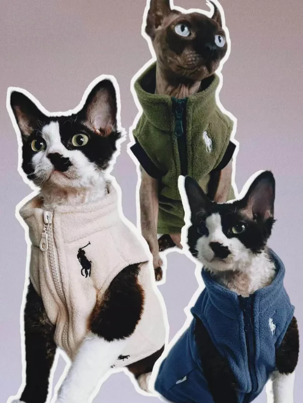 Collage of cats wearing cream, olive green, and blue fleece vests