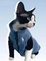 Black and white Devon Rex cat wearing a blue warm fleece vest